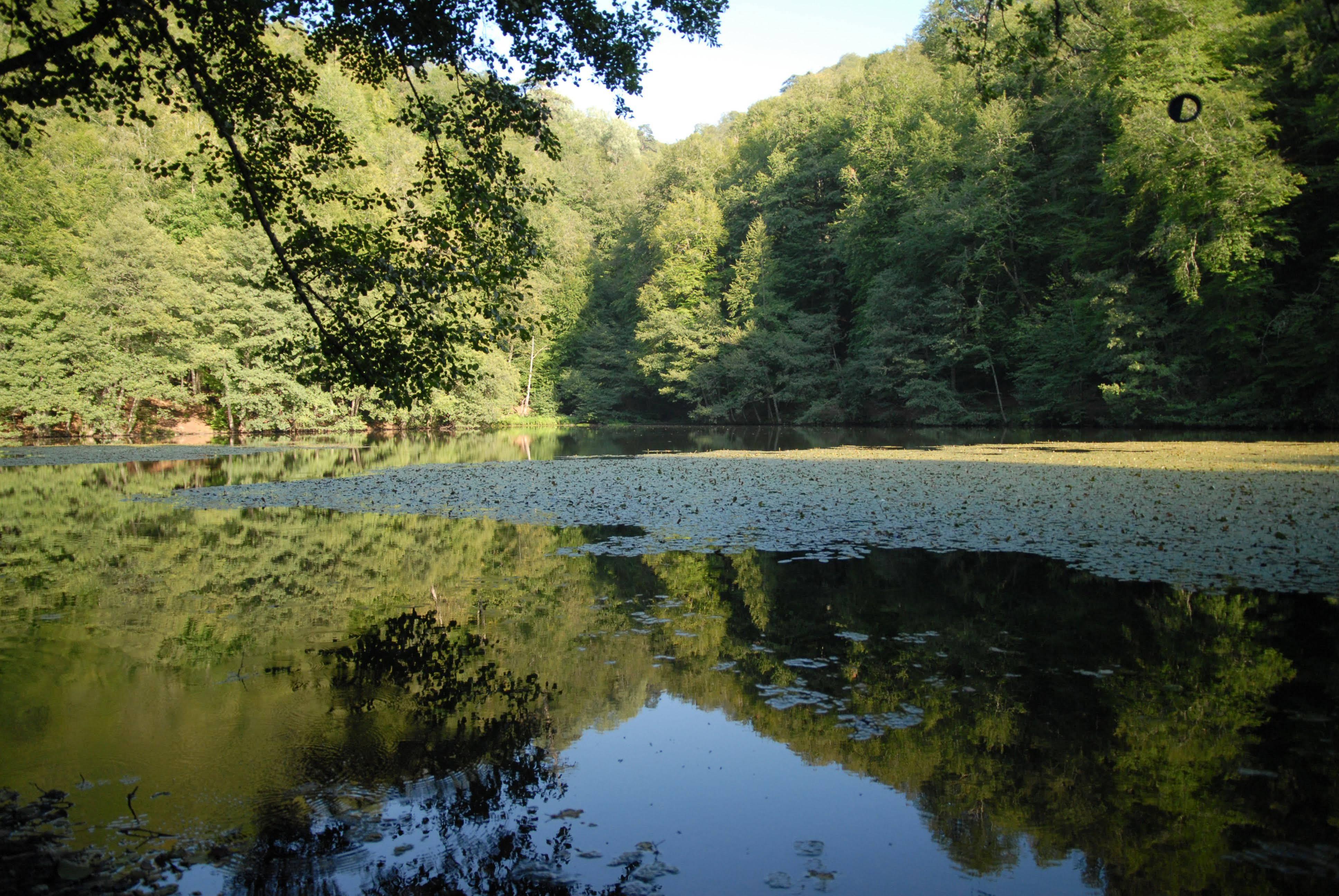 Bolu Termal Hotel Exteriér fotografie